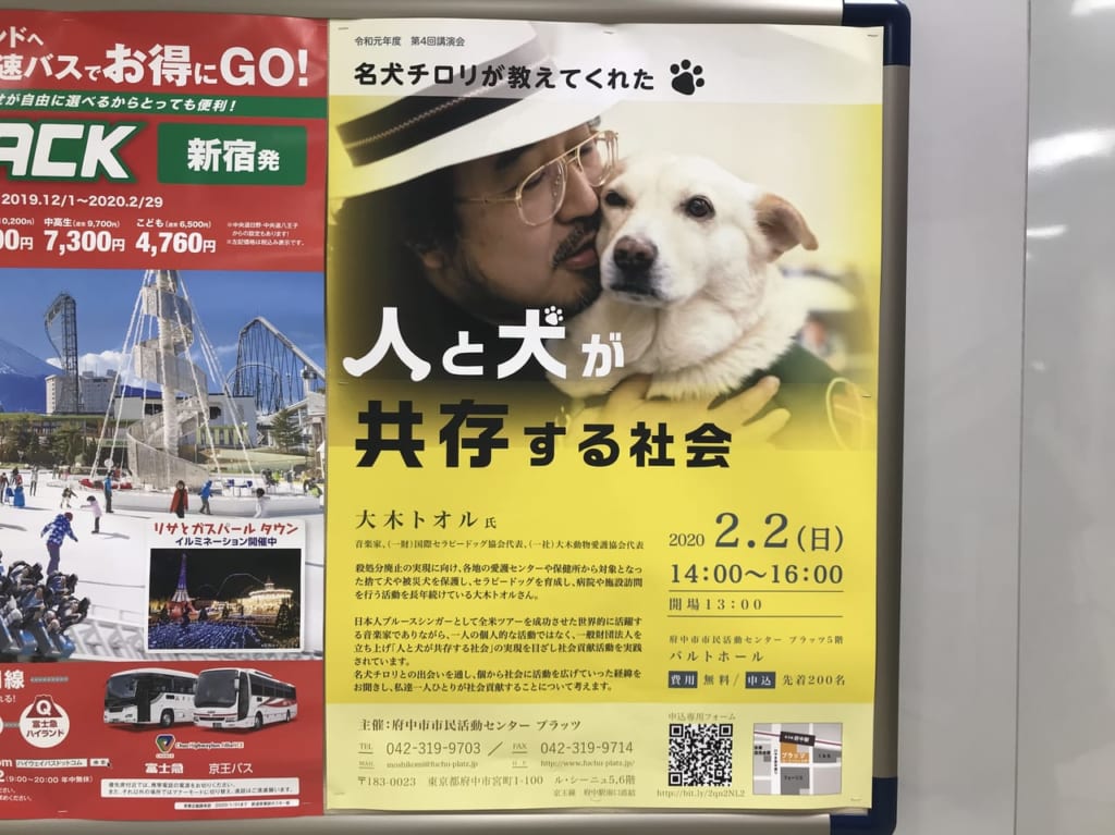 ドッグセラピーの広告
