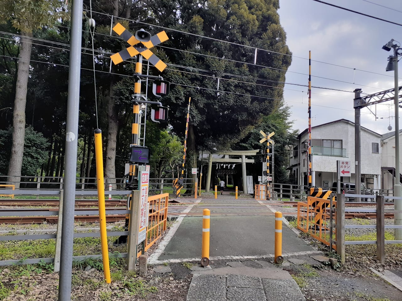 八幡宮の参道の続きです。