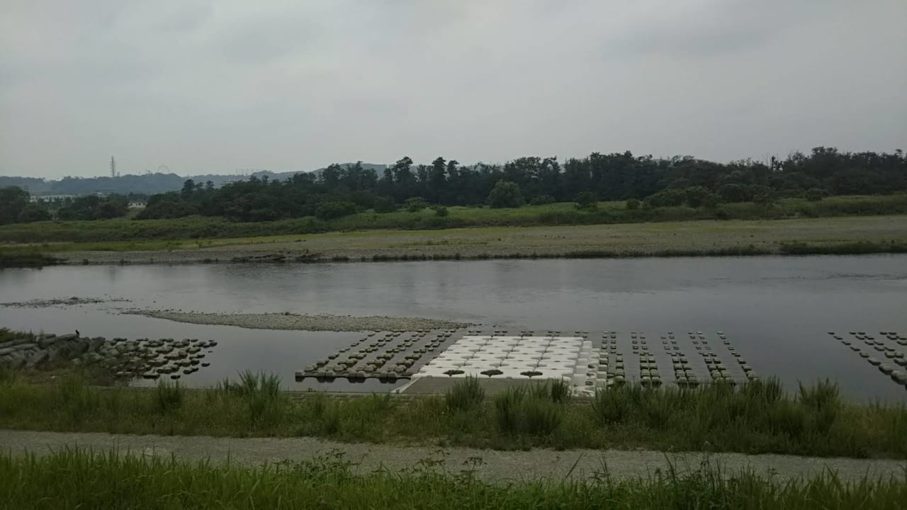 夏の多摩川