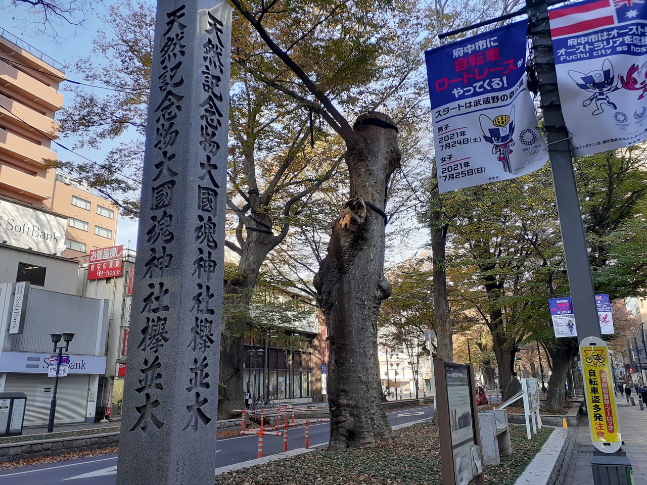 府中市 ピザーラ冬 Webcmに けやき並木 が登場しています 号外net 東京都府中市
