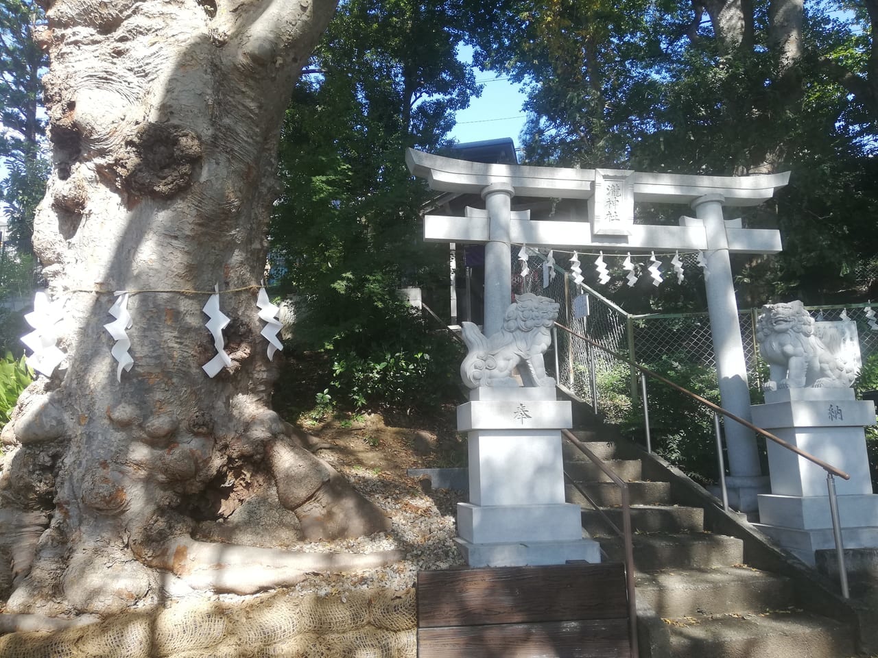 府中市の瀧神社