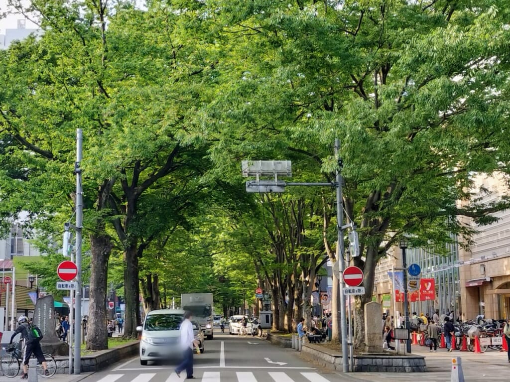 けやき並木通り