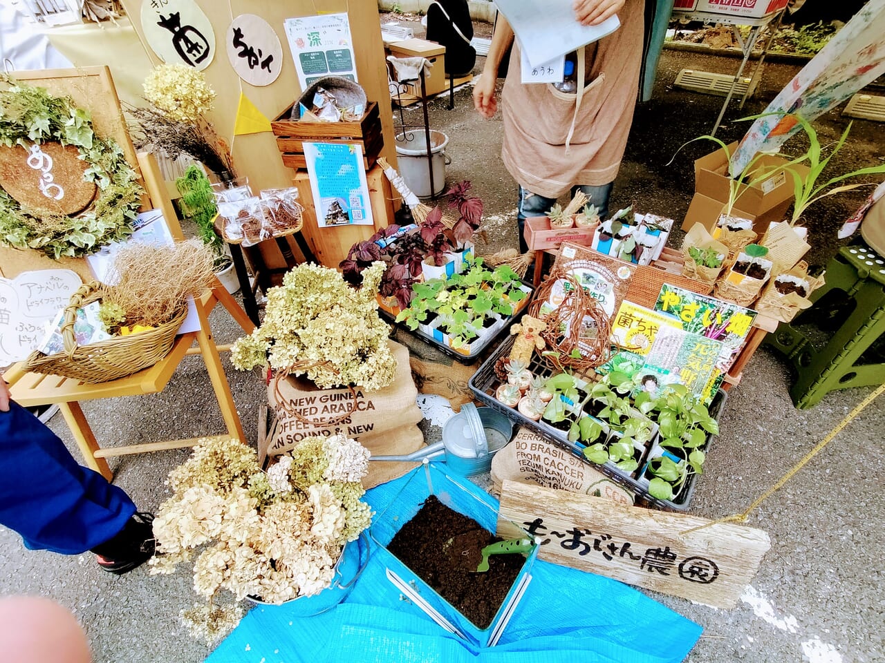 たまれ万博2024の様子