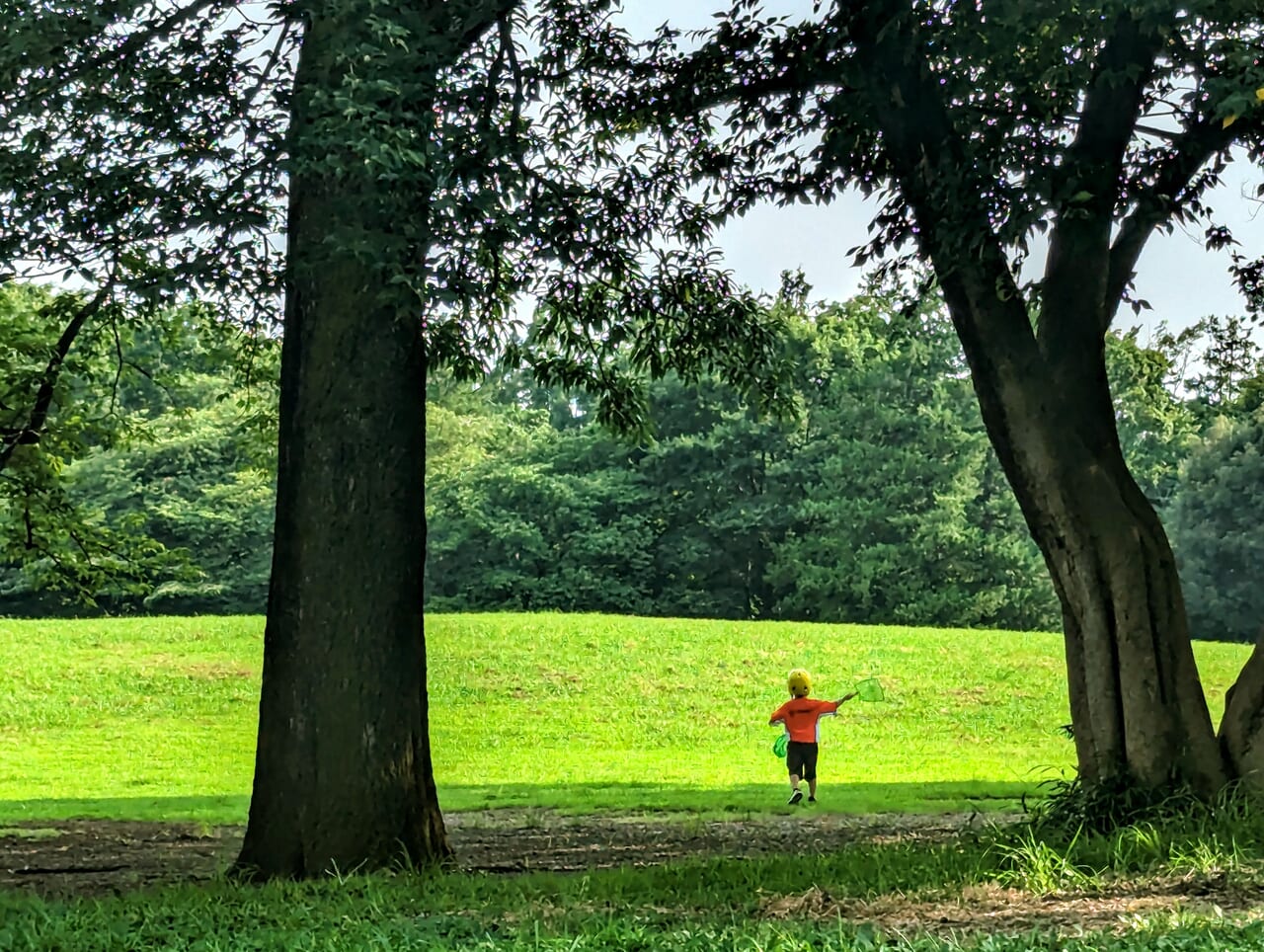 都立府中の森公園の丘