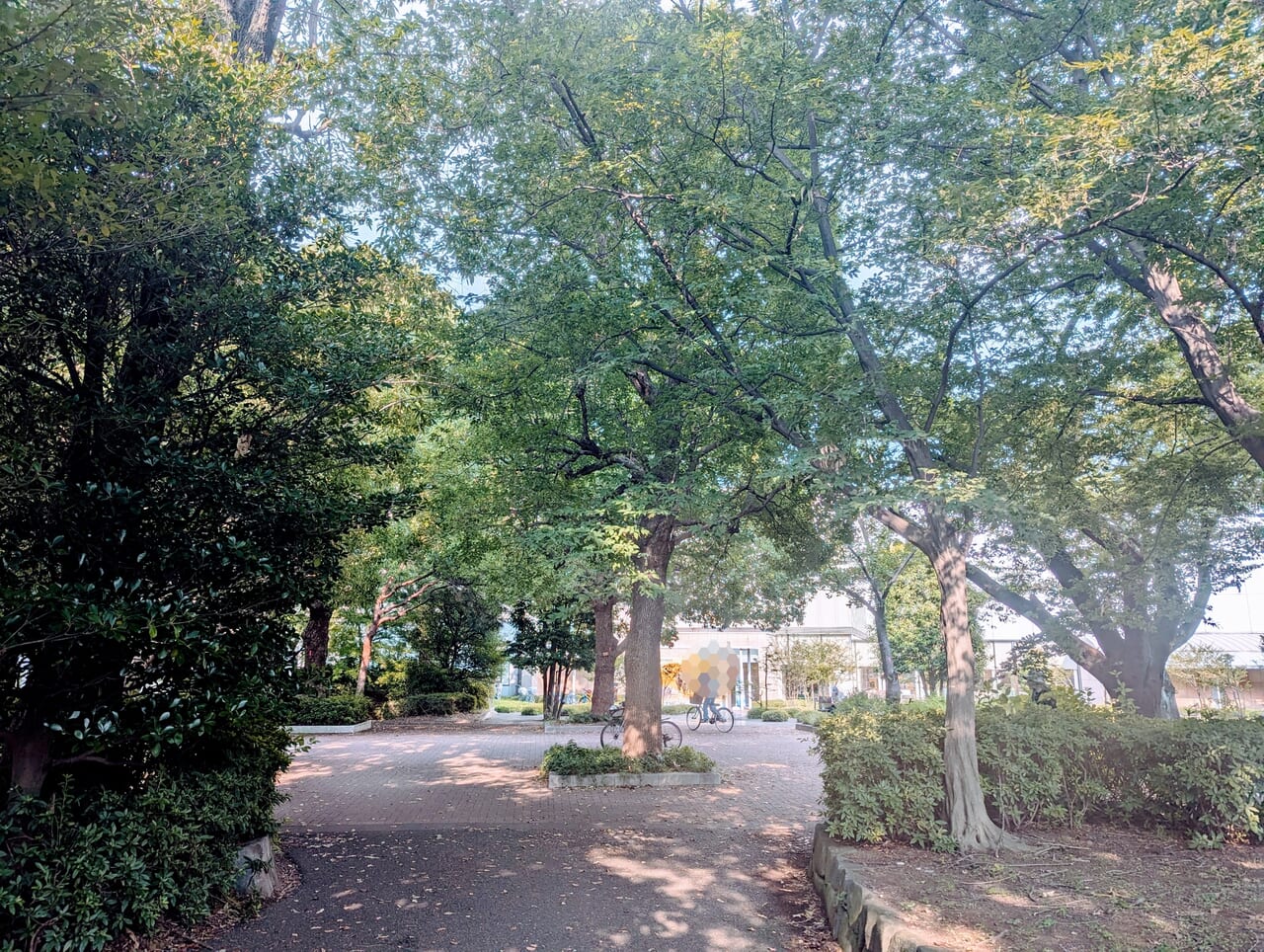 都立府中の森公園夏