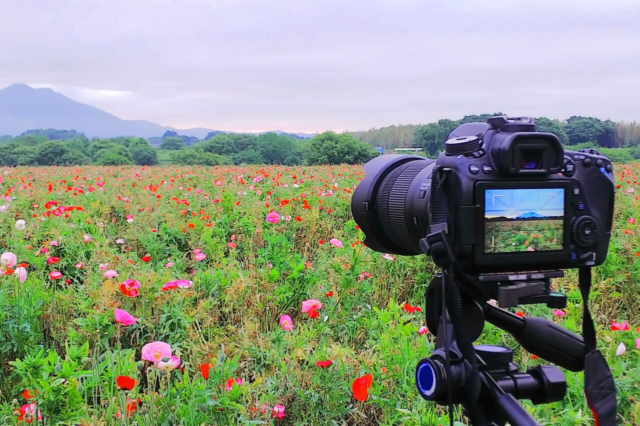 写真撮影のイメージ