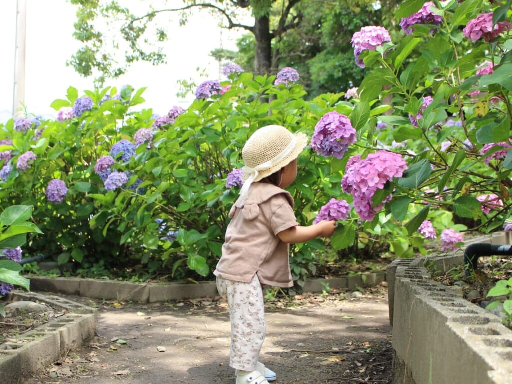 写真コンクールイメージ