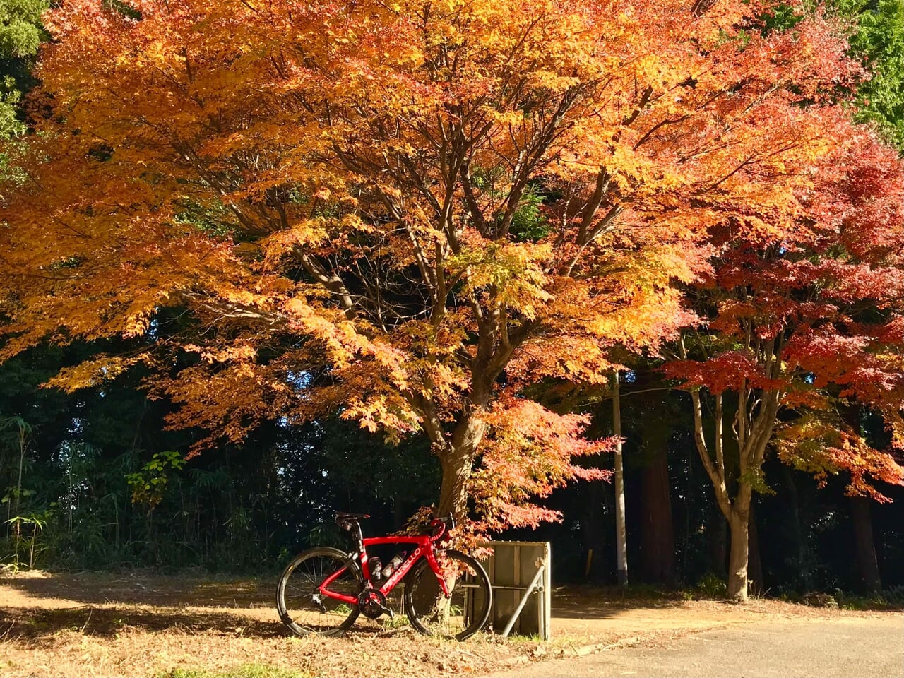 秋のサイクリングイメージ