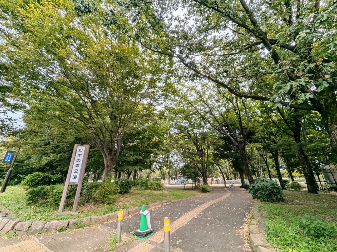 府中の森公園秋01