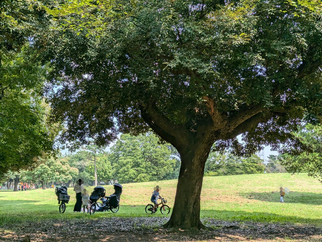 府中の森公園秋04