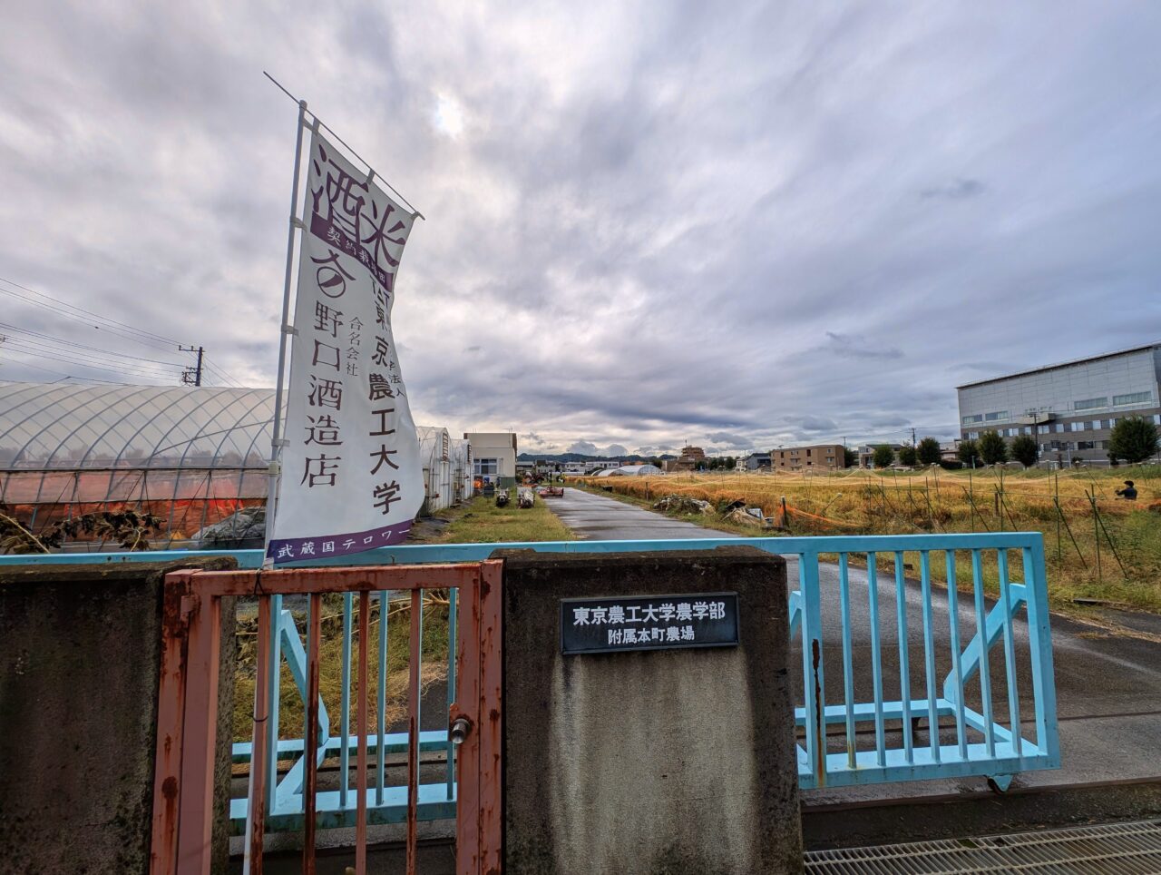 新 國府鶴お披露目会04