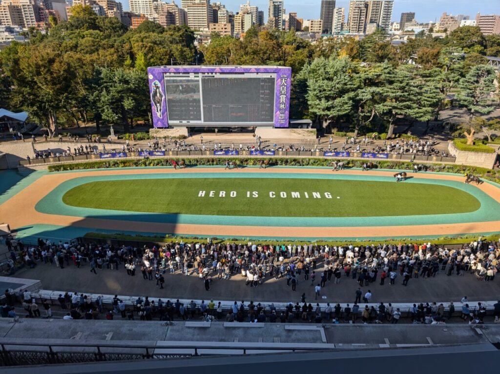 東京競馬場