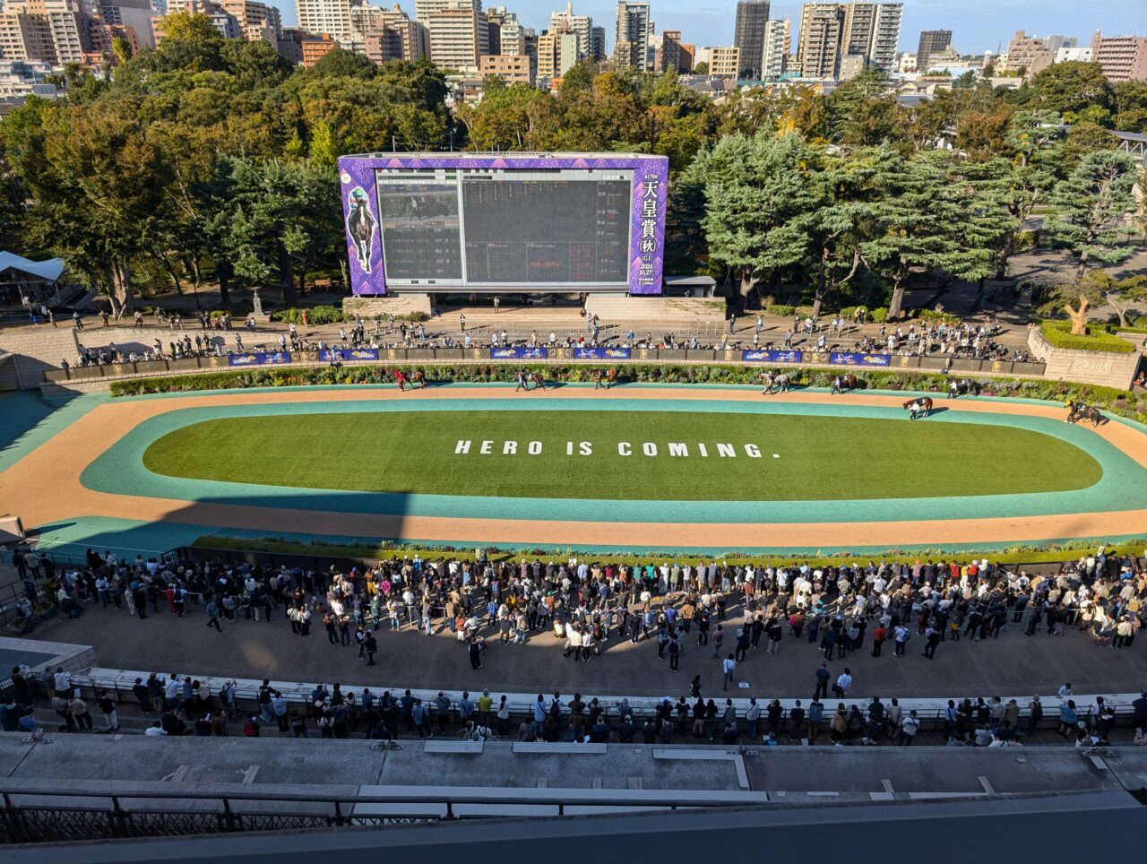 東京競馬場