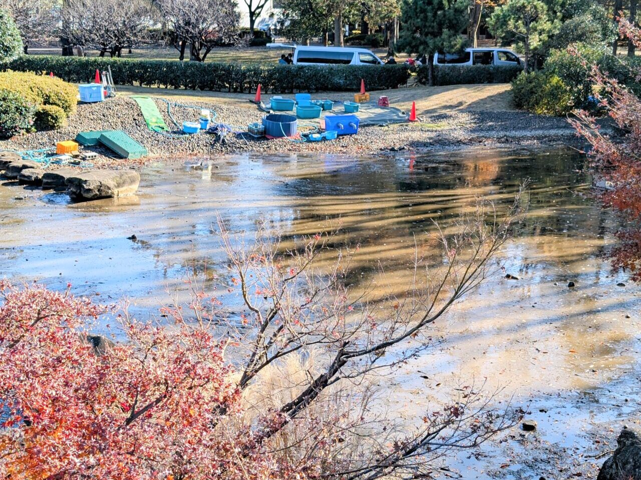 都立府中の森公園2024冬01