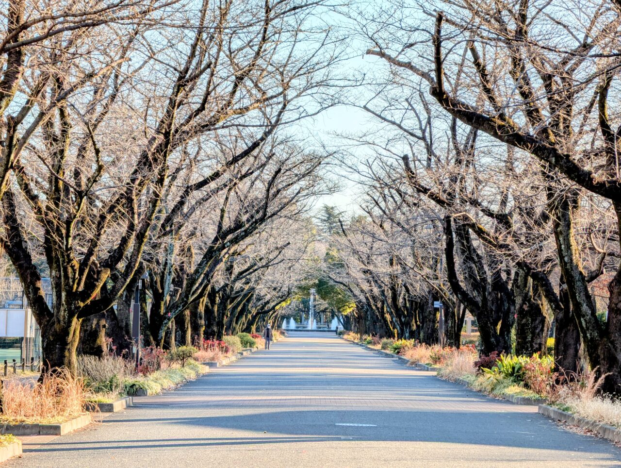 202501府中の森公園07