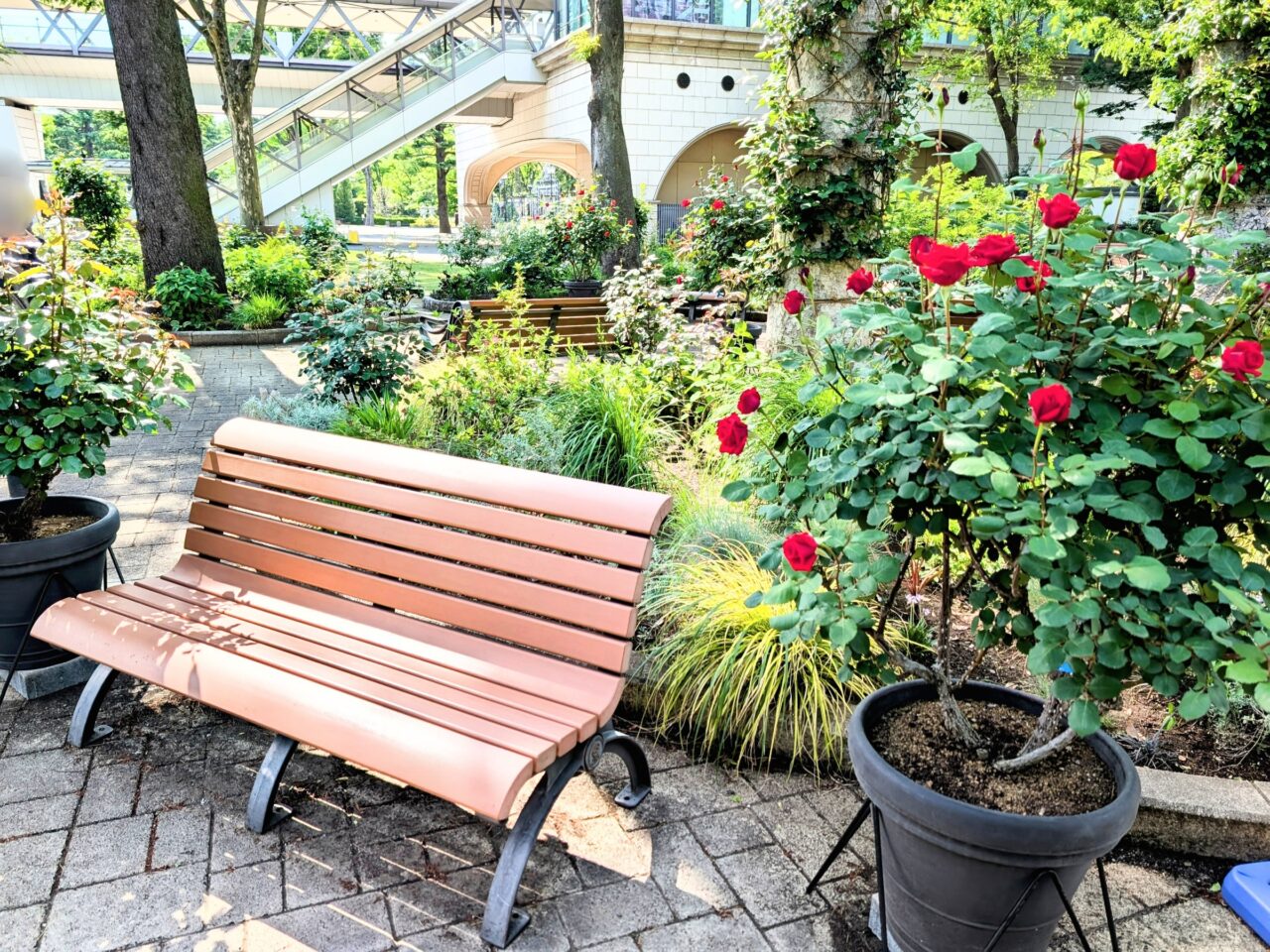Rosegarden05
