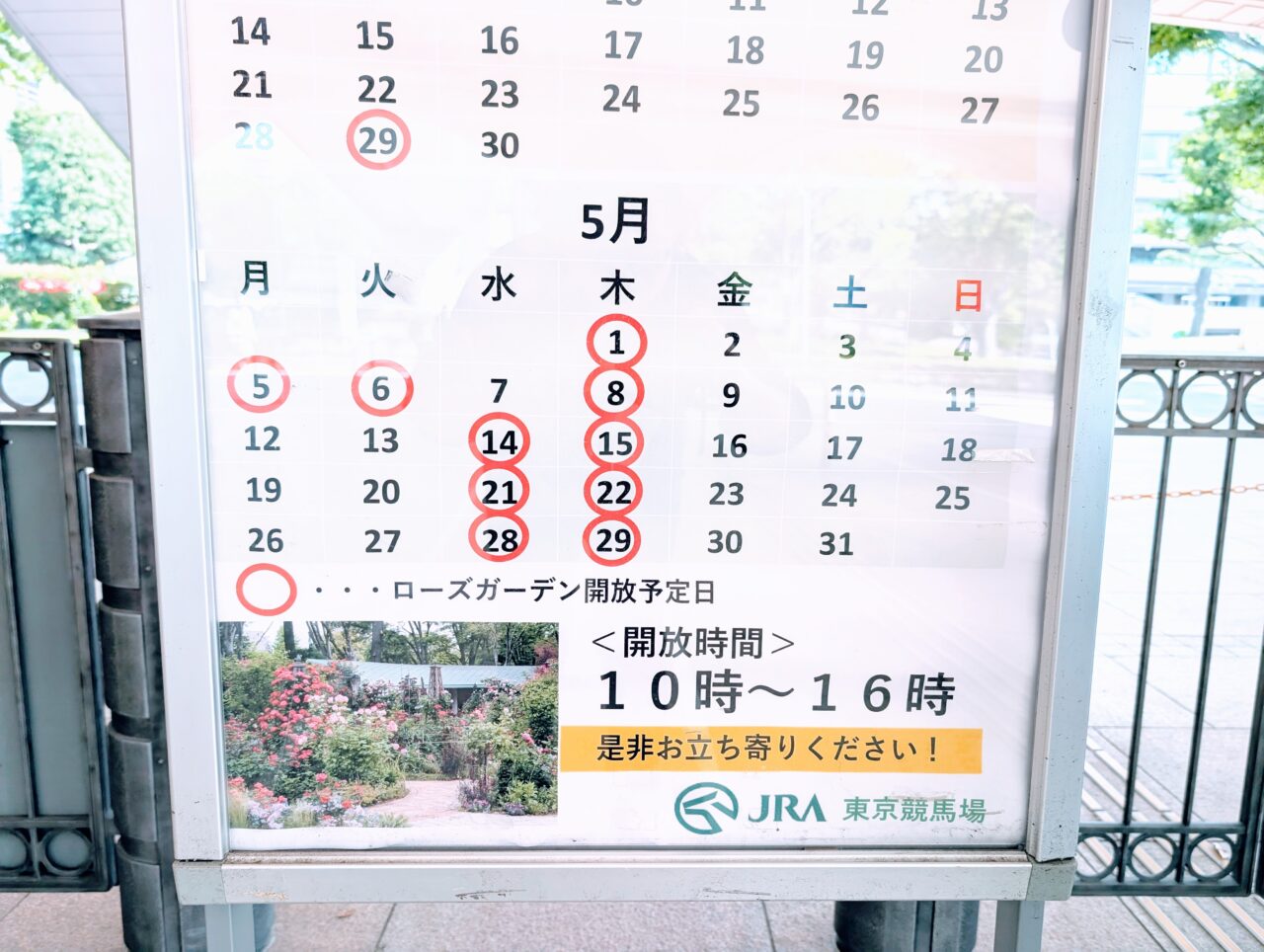 Rosegarden06