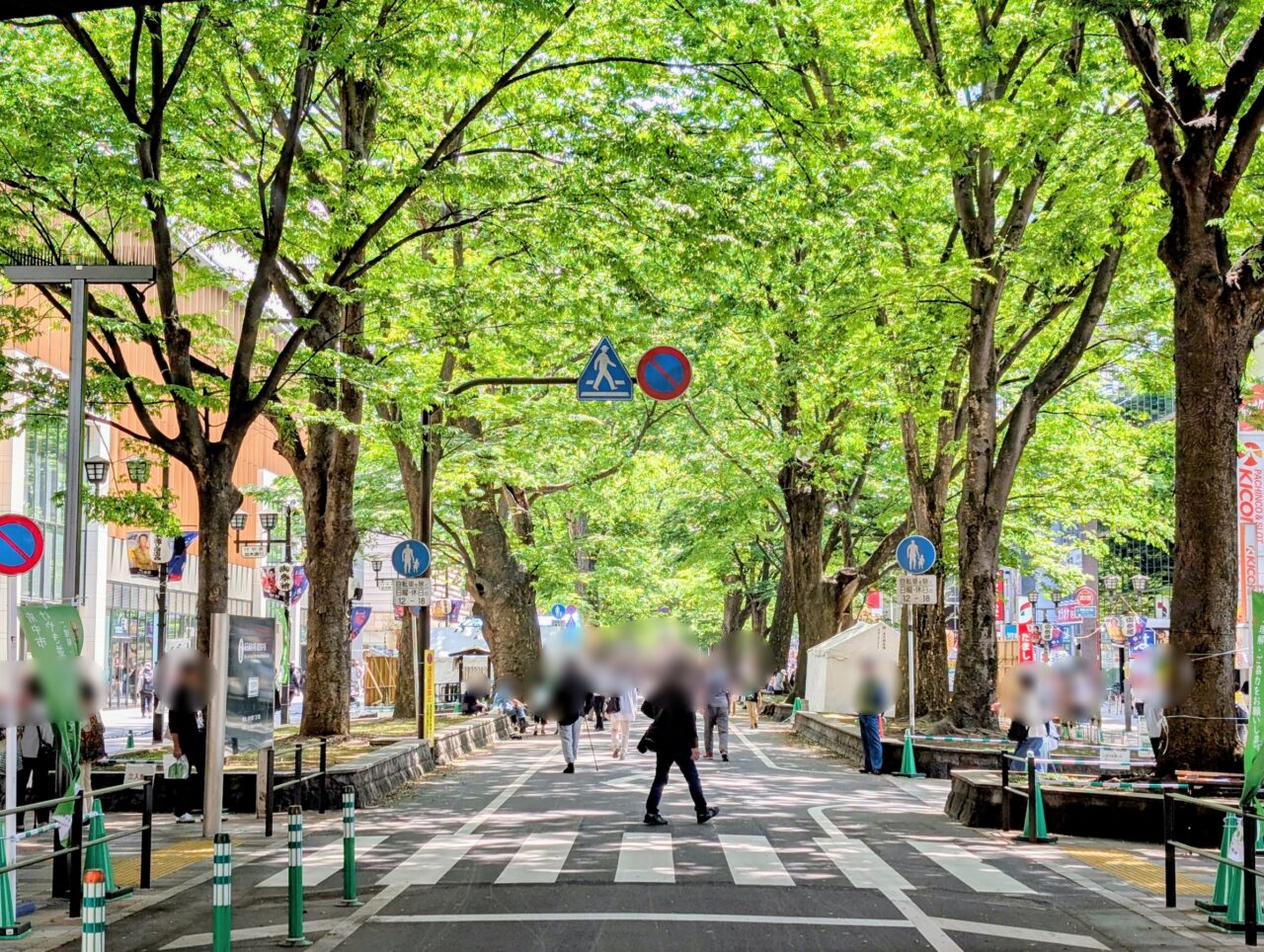 keyakinamiki202505