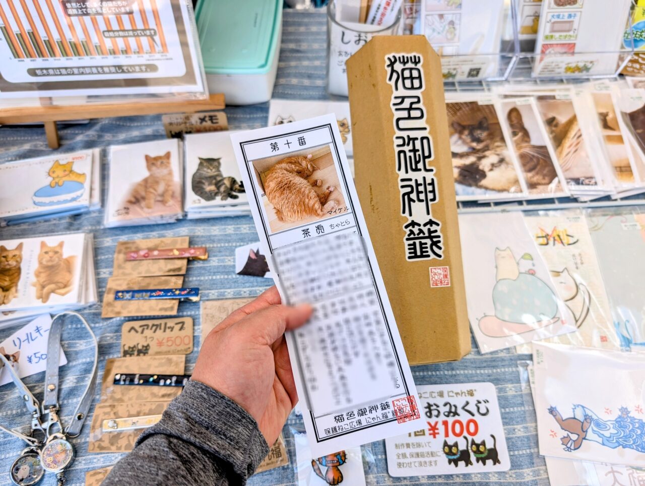 202505府中のまんなかフェス02