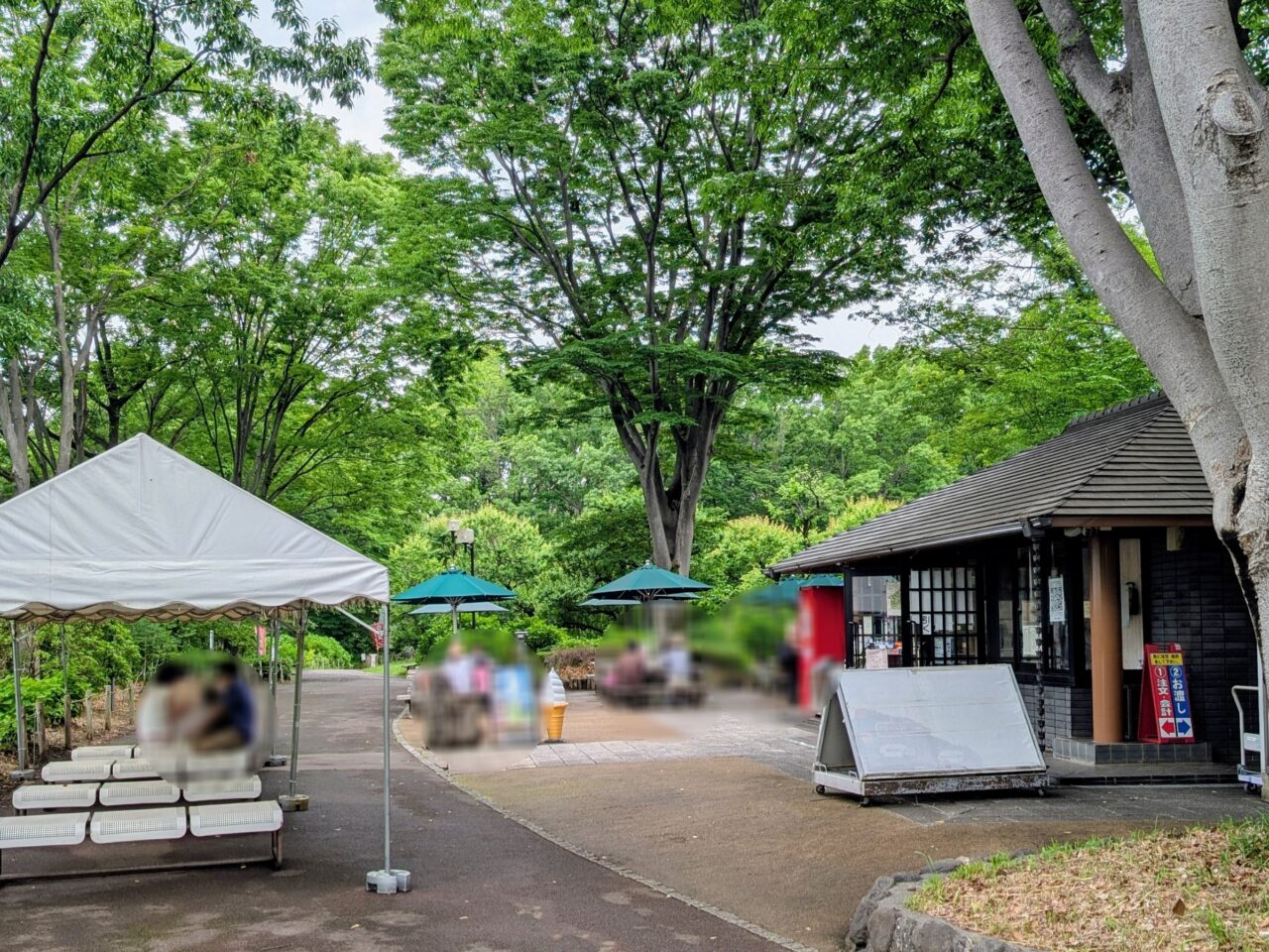 202505ajiasai03