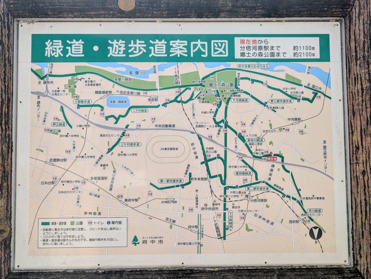 緑道マップ