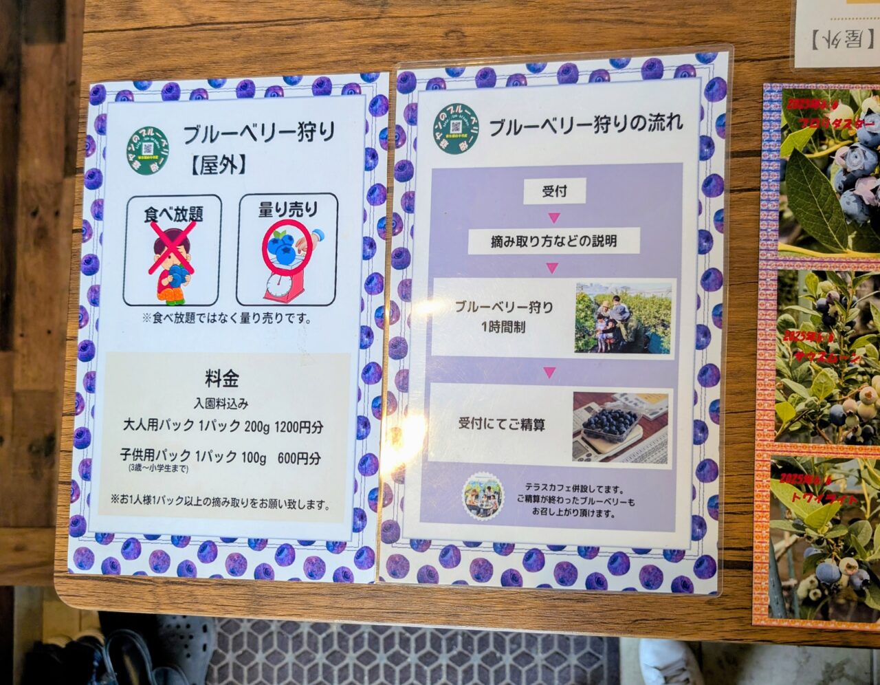 爺ヤンのブルーベリー畑02