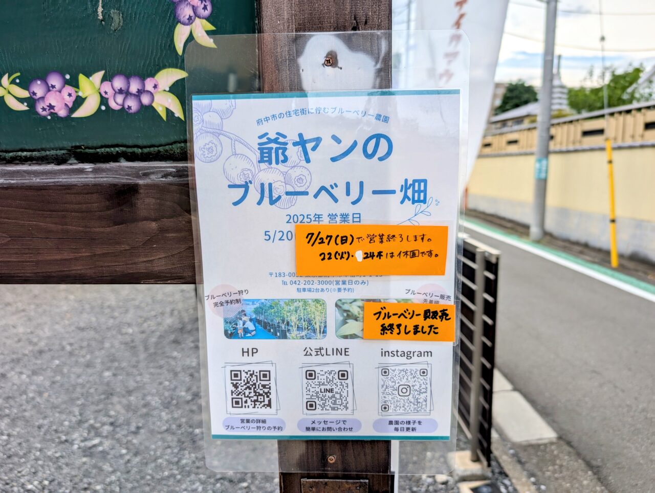 爺ヤンのブルーベリー畑08