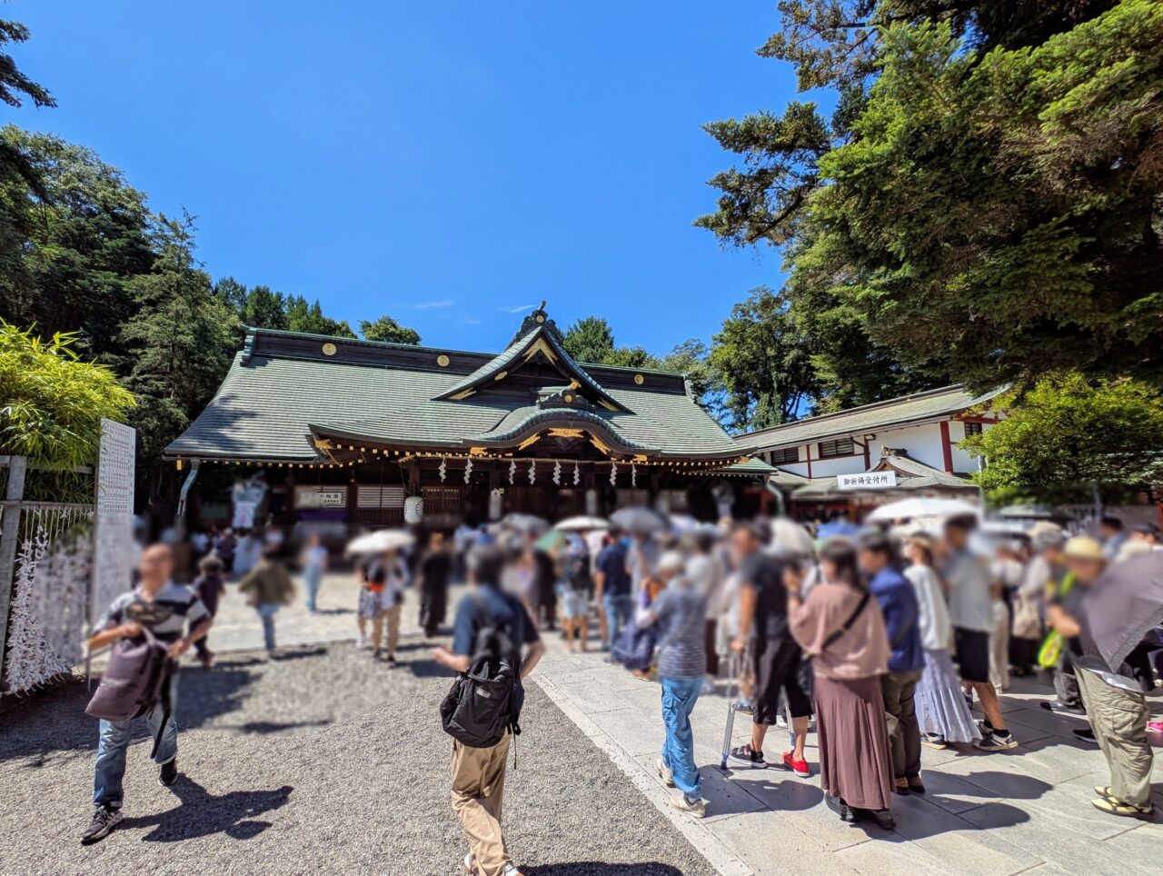 2025sumomomatsuri06
