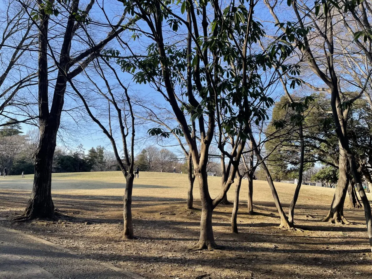 2026.4読み聞かせ