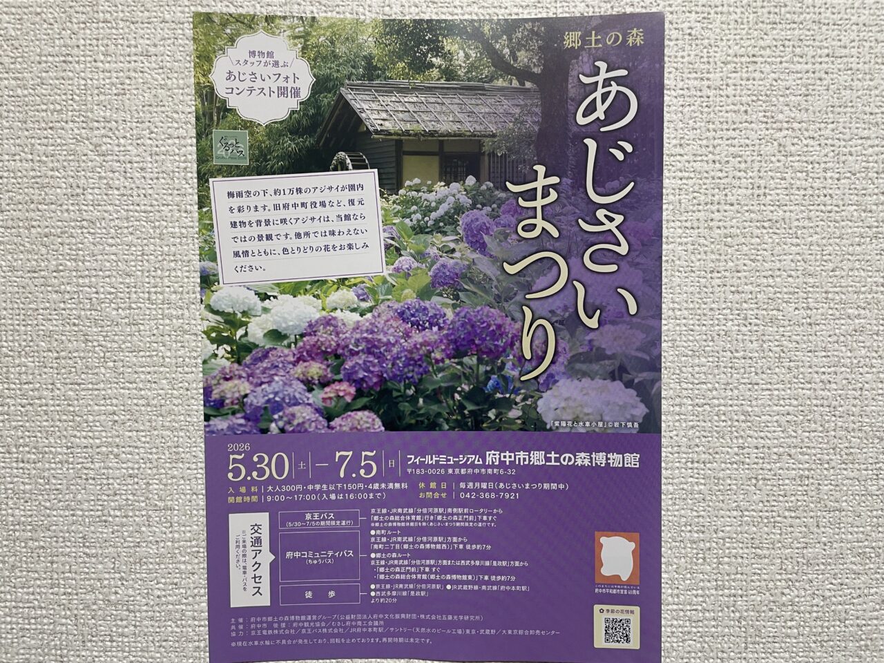 2026.5あじさい