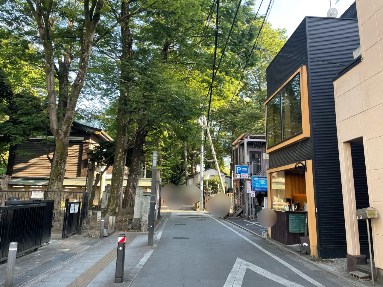 2026.5こぐま
