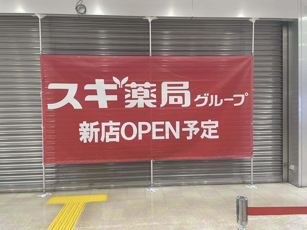 2026.6スギ