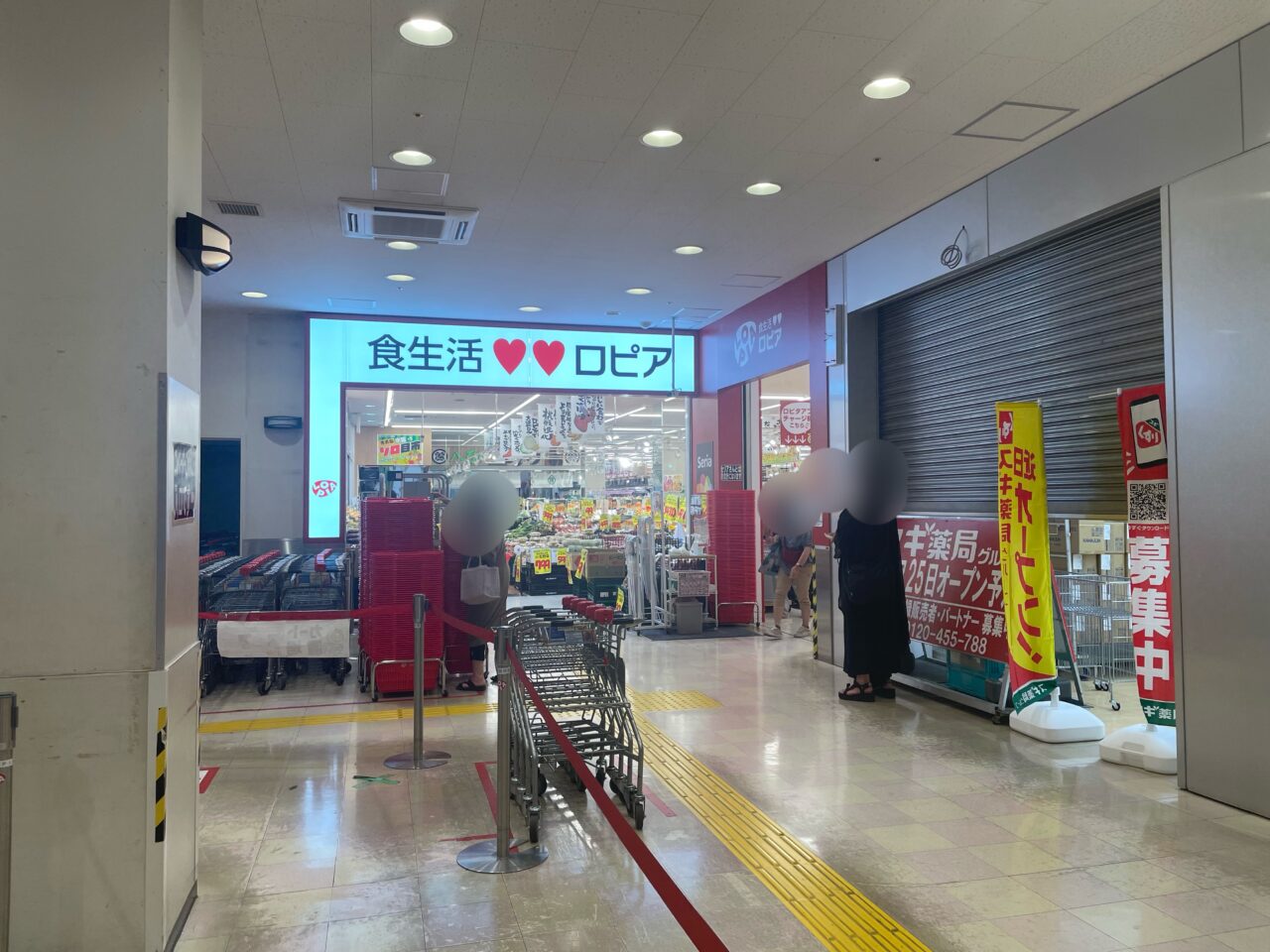 2026.6スギ