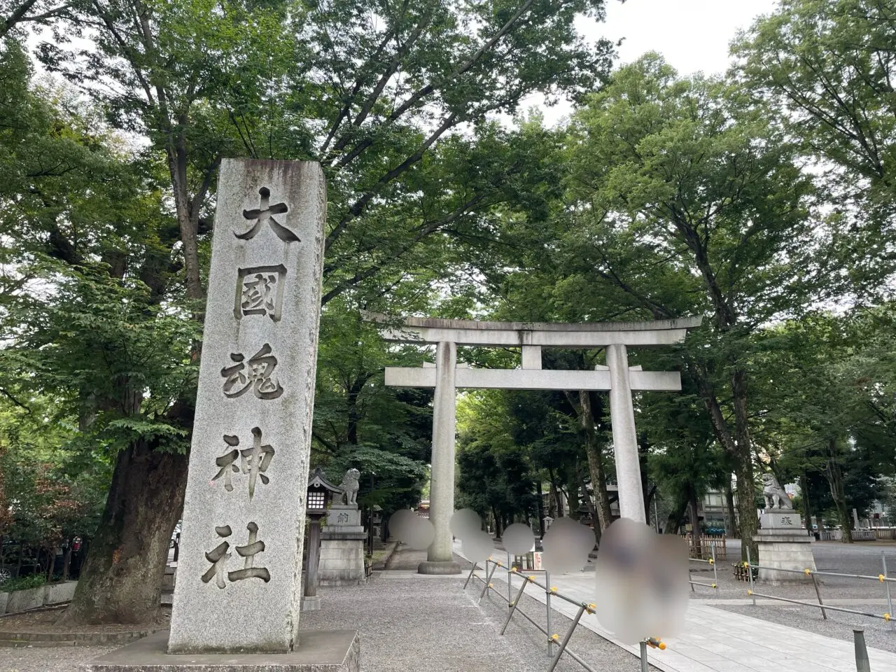 2026.8アイス