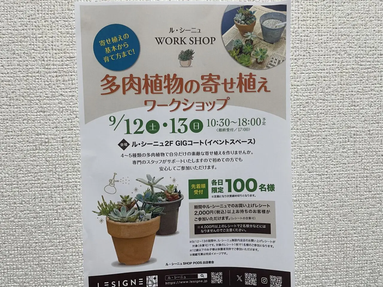 2026.8植物