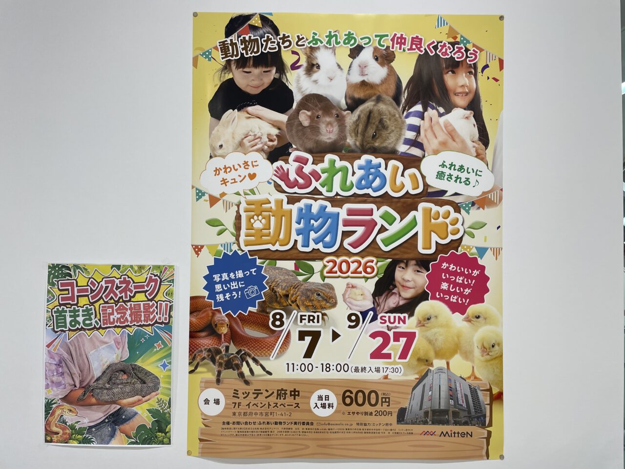 2026.9動物