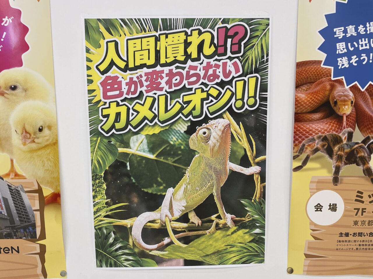 2026.9動物